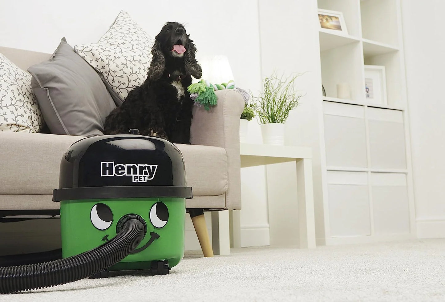 Henry PetCare Vacuum Cleaner